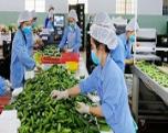 Đẩy mạnh xuất khẩu hàng nông sản chủ lực Đẩy mạnh xuất khẩu hàng nông sản chủ lực