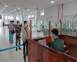 Móng Cái: Hơn 7.300 tấn hàng hóa XNK qua các cửa khẩu, lối mở Móng Cái: Hơn 7.300 tấn hàng hóa XNK qua các cửa khẩu, lối mở